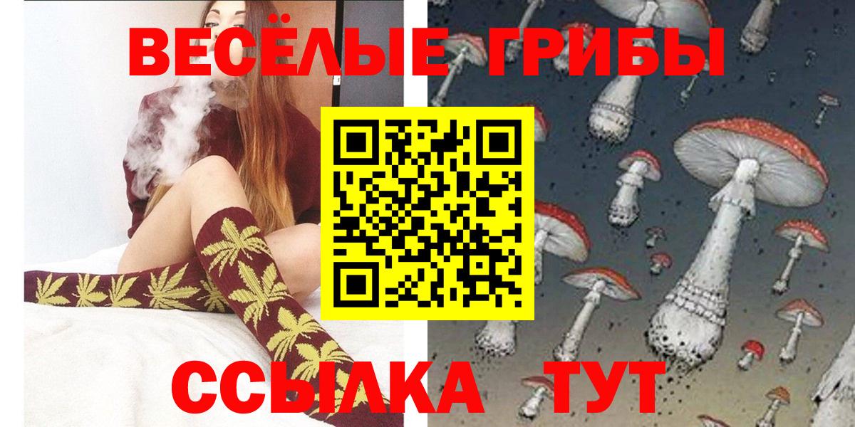 Псилоцибиновые грибы GOLDEN TEACHER  Вход с VPN  Подольск 