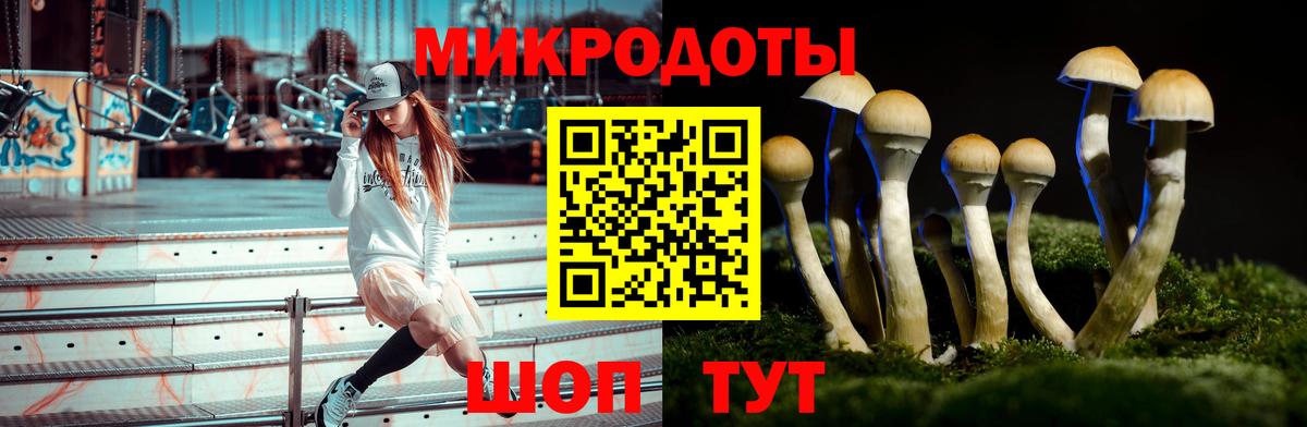 Галлюциногенные грибы ЛСД Подольск